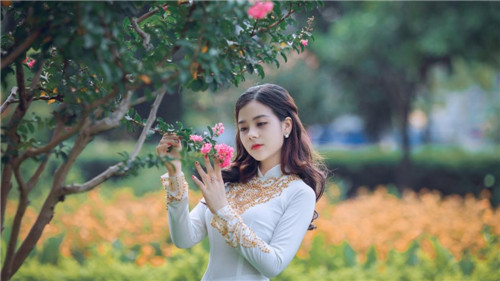 爱的躯壳 下载