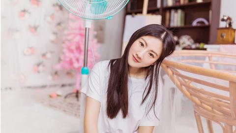 含羞草2021永不失联