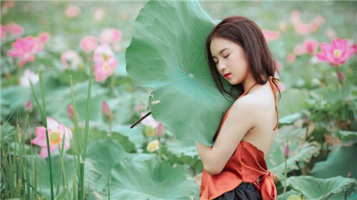 蜜芽忘忧草wegame