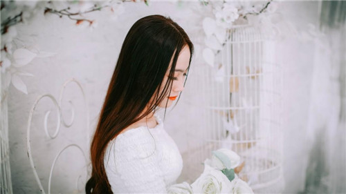 芭乐鸭脖向日葵芭乐鸭脖旧版