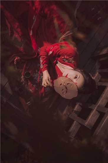 仙踪林天美传媒
