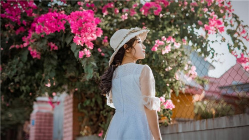 xfb88.xyf芭乐app