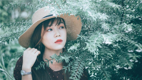 向日葵绿巨人秋葵幸福宝直接看