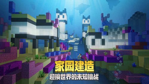 我的世界基岩版1.17