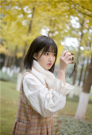 linodeiphone欧美探测器中文版