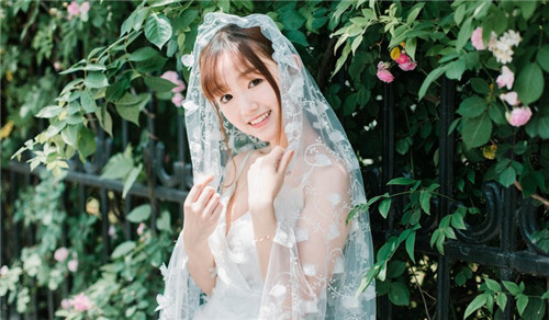 菠萝蜜app下载汅api免费新版